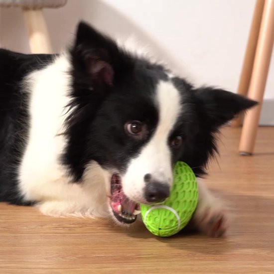 Zwarte en witte collie kauwt op een groene speelgoedbal met honingraatpatroon.