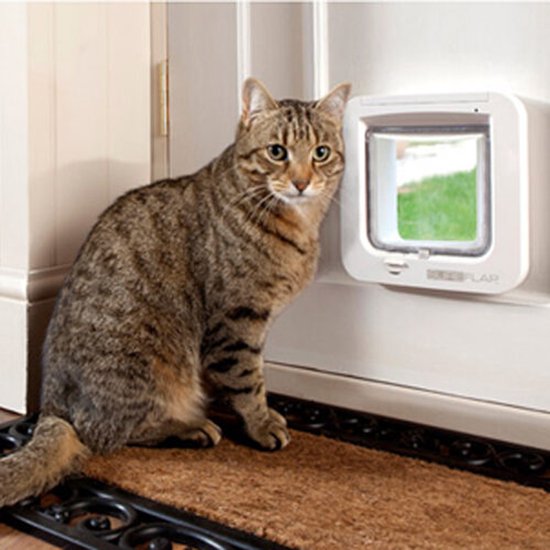 Bruine kattenluik in een deuropening naast een zittende cyperkat. Merk SureFlap.