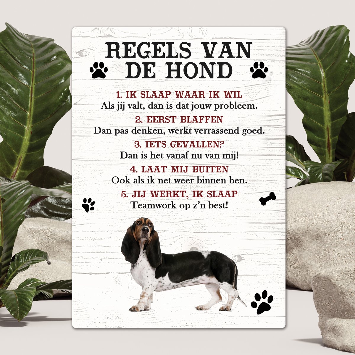 Spreuken - Teckel - Regels Van De Hond - Spreuken Bordjes - Spreukenbord - Tekstborden - Cadeau - Hondenras