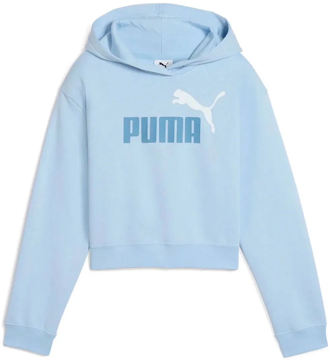 Puma Ess 2 Color Nº 1 Logo​ Fl Hoodie 11-12 Years Meisjes Haute Tropic