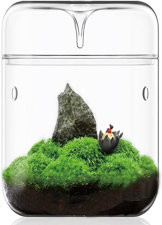 Geometrisch Glazen Terrarium Dodecaëder voor Succulenten en