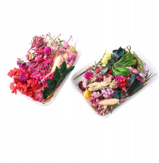 Twee transparante bakken gevuld met diverse gedroogde bloemen in roze, rode, groene en gele tinten.
