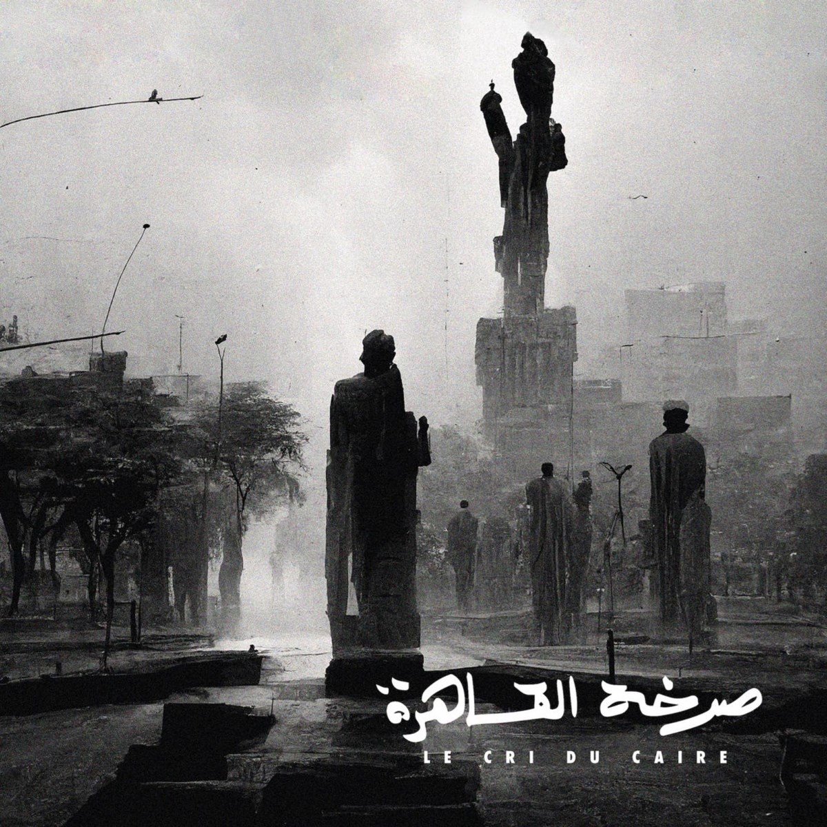 Abdullah Miniawy & Erik Truffaz - Le Cri Du Caire (CD)