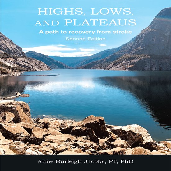 Highs, Lows, and Plateaus: A path to recovery from stroke - cover