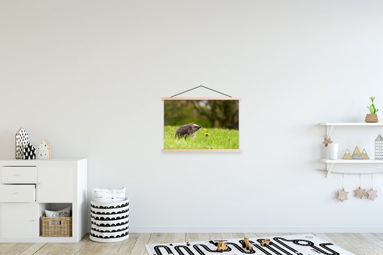 Hérisson en herbe affiche textielposter lattes vierge 60x40 cm