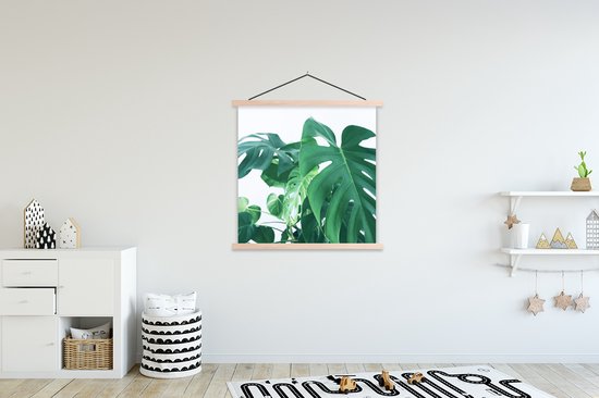 Support pour affiche avec affiche 120 x 120 cm - Affiche scolaire - Grandes feuilles botaniques de la fromagerie suisse sur fond blanc - Affiche textile - Lattes vierges