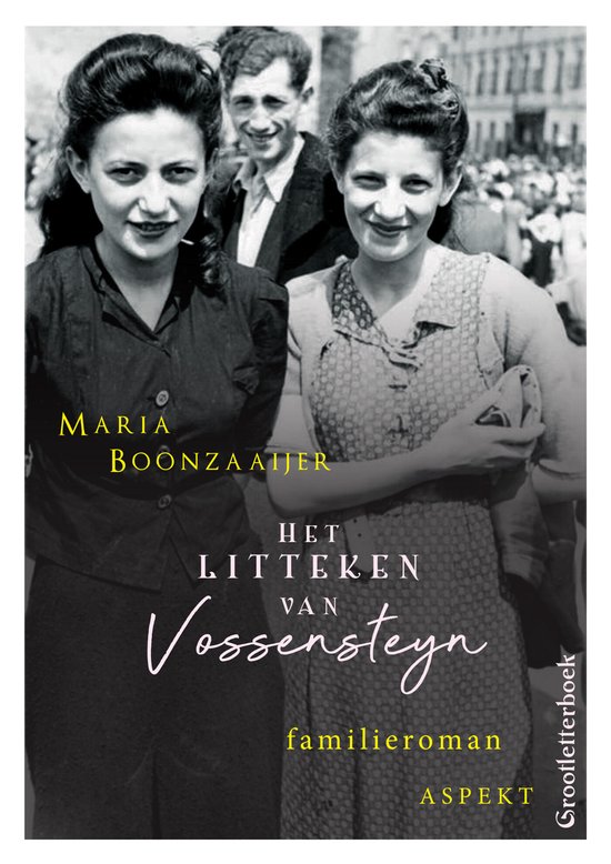 Het litteken van Vossensteyn - cover