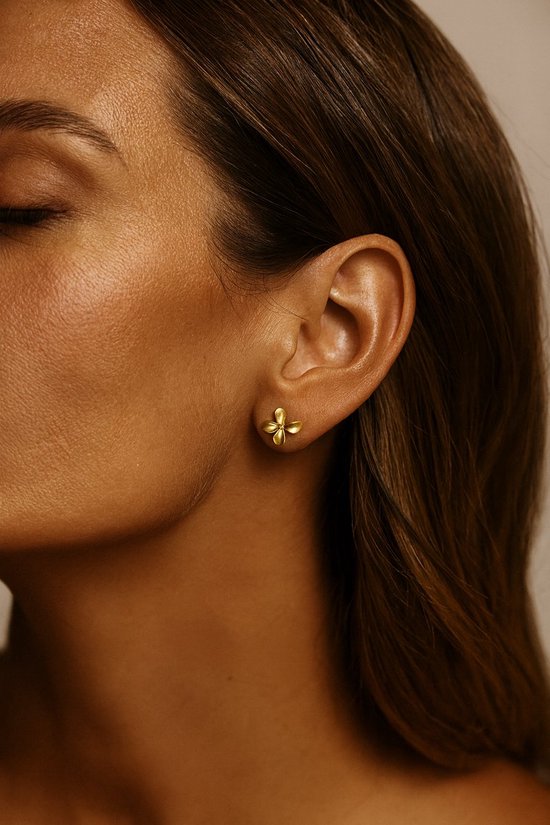 Chriscoco Oorstekers voor dames, 925 sterling zilver, 14K verguld