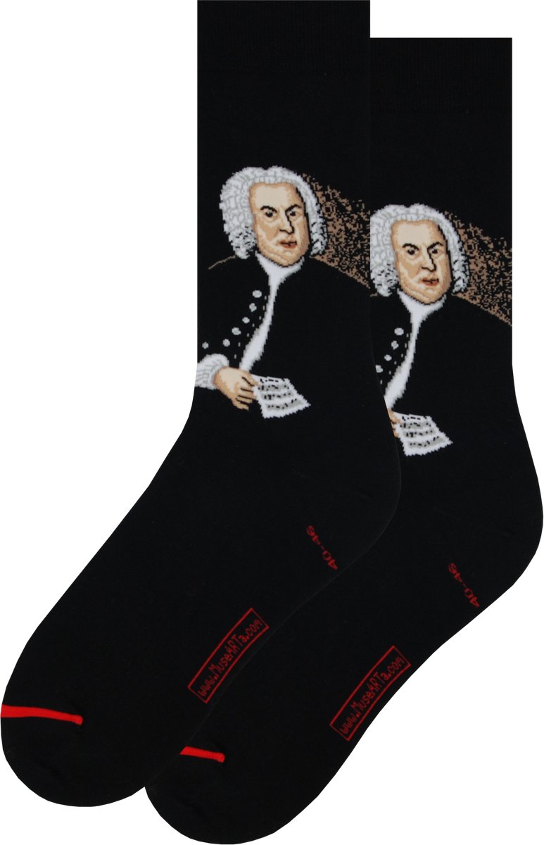 Elias Gottlob Haussmann - Johann Sebastian Bach 40-46