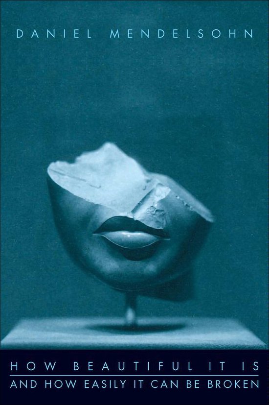 How Beautiful It Is And How Easily It Can Be Broken - cover