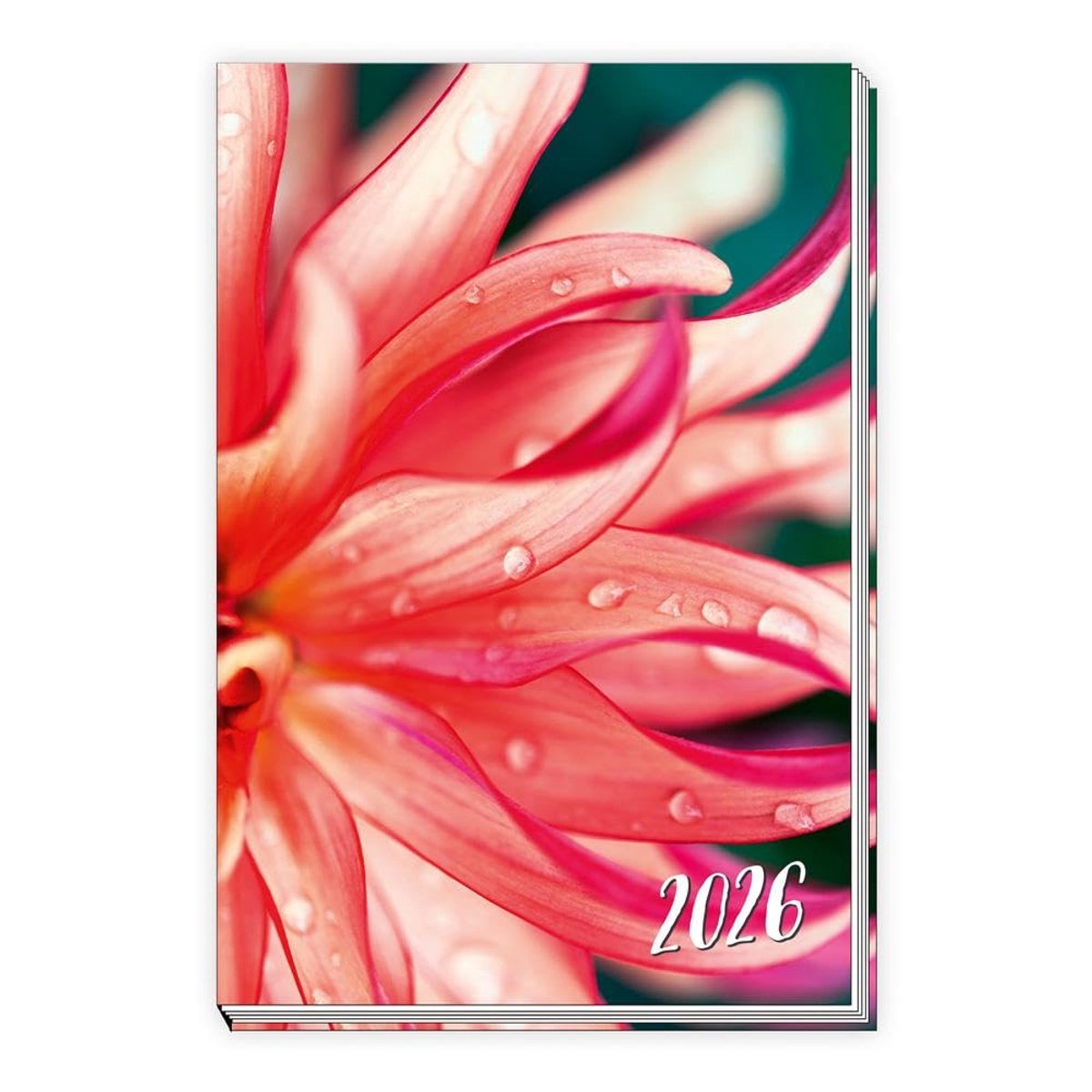 IMPERATORIS® Weekkalender/Weekplanner 2026