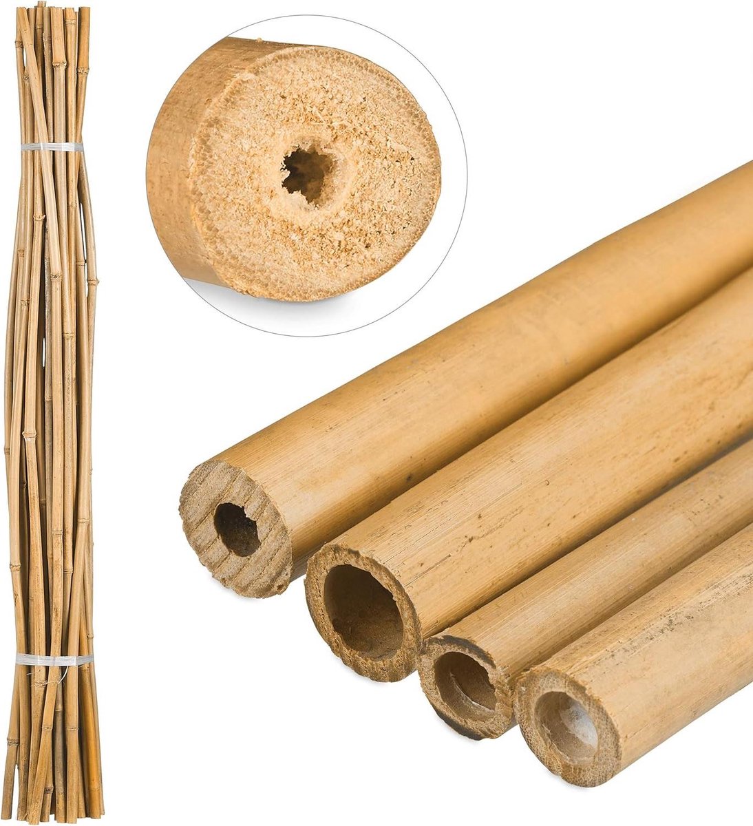 Provento- Bamboestokken - Knutselen - Rankhulp - Natuur - Decoratie - Bamboe - 150 cm - 25 stuks - Geschikt voor - Natuurlijke kleurJ.