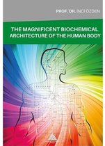 The Magnificent Biochemical Architecture Of The Human Body