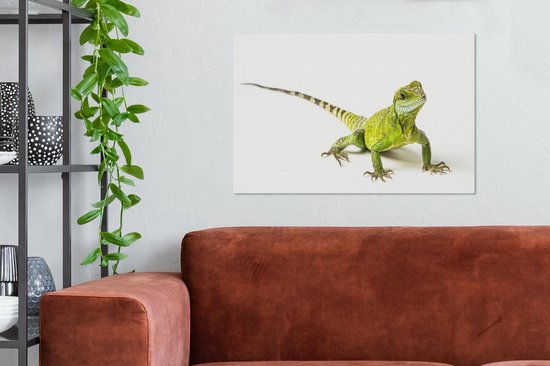 Toile Peinture Lézard - Reptile - Wit - 90x60 cm - Décoration murale