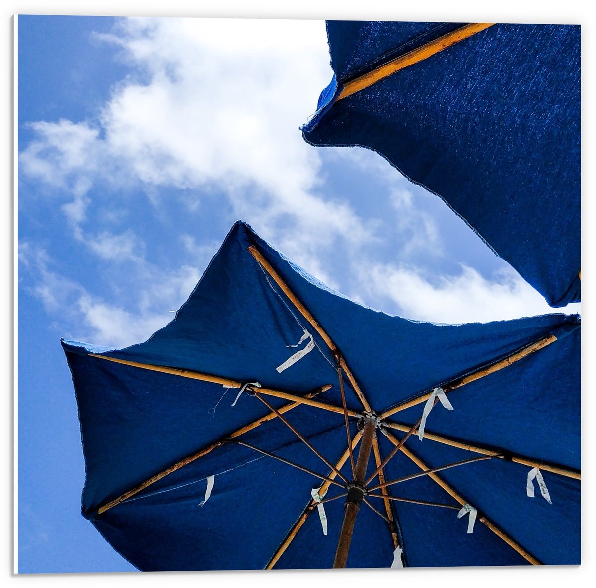 Forex - Onderaanzicht van Blauwe Parasols - 50x50cm Foto op Forex