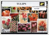Tulips - Typisch Nederlands postzegel pakket & souvenir. Collectie van verschillende postzegels van (Nederlandse) tulpen – kan als ansichtkaart in een A6 envelop - authentiek cadea