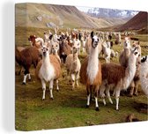 Canvas Schilderij Alpaca - Lama - Peru - 40x30 cm - Wanddecoratie