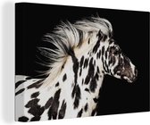 Toile Peinture Cheval - Pois - Wit - 180x120 cm - Décoration murale XXL