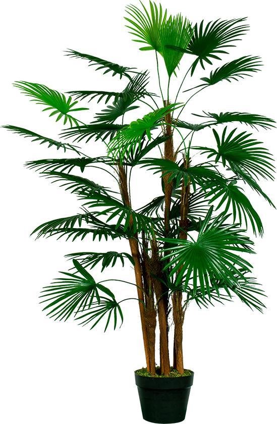 HTT Decorations - Palmier Rhapis artificiel H120cm