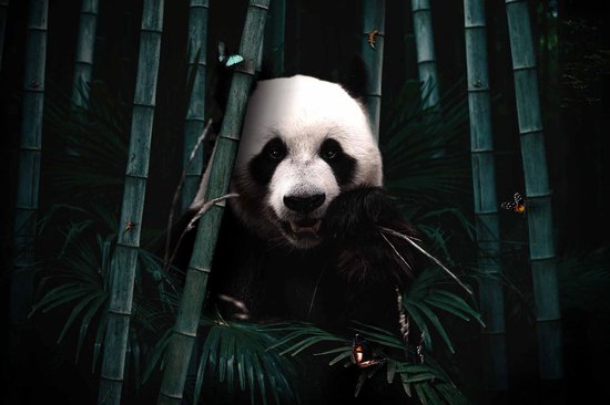 Jungle Panda op Textiel in Frame - WallCatcher | 150 x 100 cm | Breed zwart Textielframe 27 mm | Jungle Reuzenpanda op peesdoek