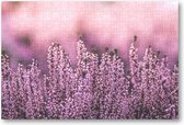 Lavendel in een lavendelveld - 252 Stukjes puzzel voor volwassenen - Natuur - Bloemen