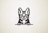 American Shorthair - Amerikaanse korthaar - Kat - Poes - S - 44x44cm - Zwart - wanddecoratie