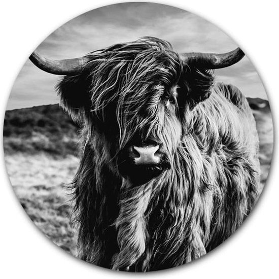 Tuincirkel Schotse Hooglander Zwart Wit - WallCatcher | Tuinposter rond 80 cm | Buiten muurcirkel Highlander