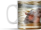 Mok - Nijlpaard - Dieren - Water - 350 ml - Beker