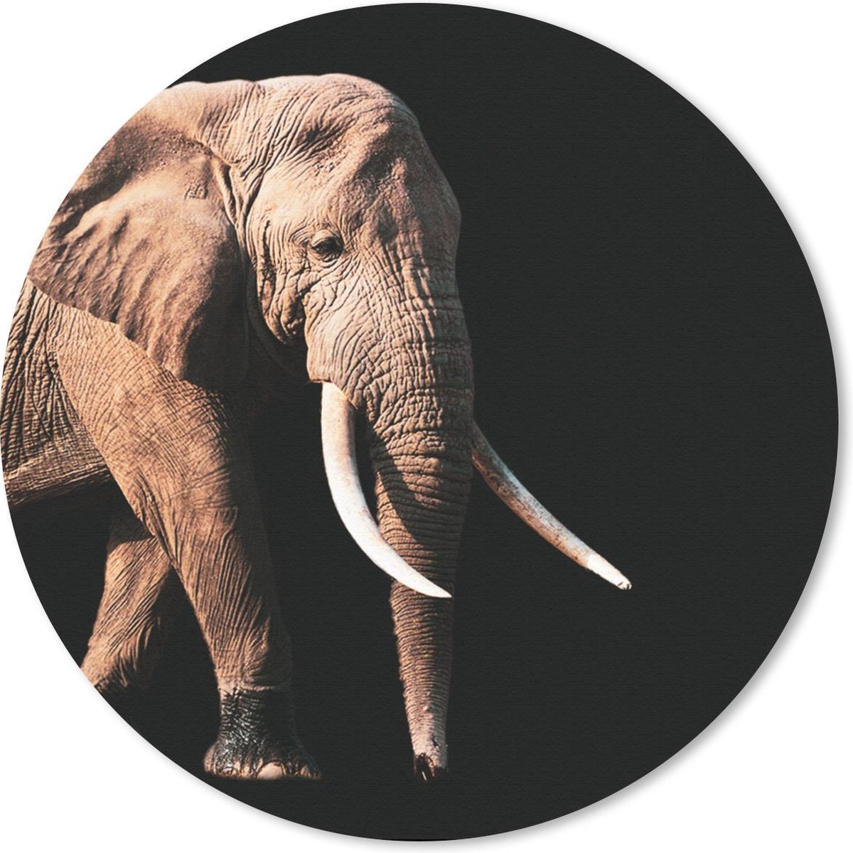 Muismat rond 40x40 cm - Mousepad Olifant - Tanden - Dieren - Ronde muismatten