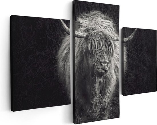 Artaza - Triptyque de peinture sur toile - Vache écossaise Highlander - Zwart Wit - 90 x 60 - Photo sur toile - Impression sur toile