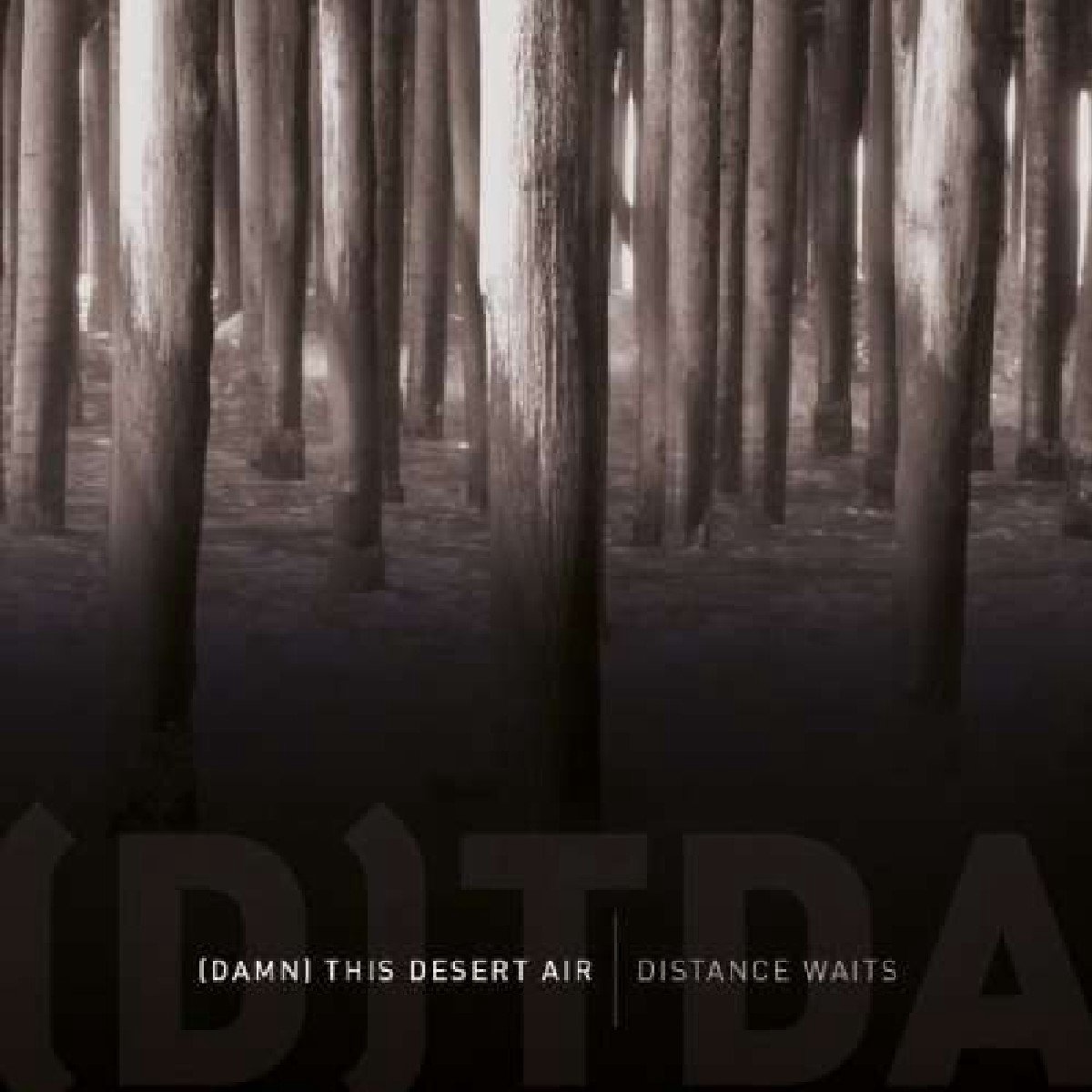 (Damn) This Desert Air - Distance Waits (CD)