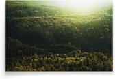 Walljar - Forest View - Muurdecoratie - Poster