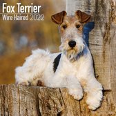 Fox Terriers - Foxterrier 2022 - 18-Monatskalender mit freie