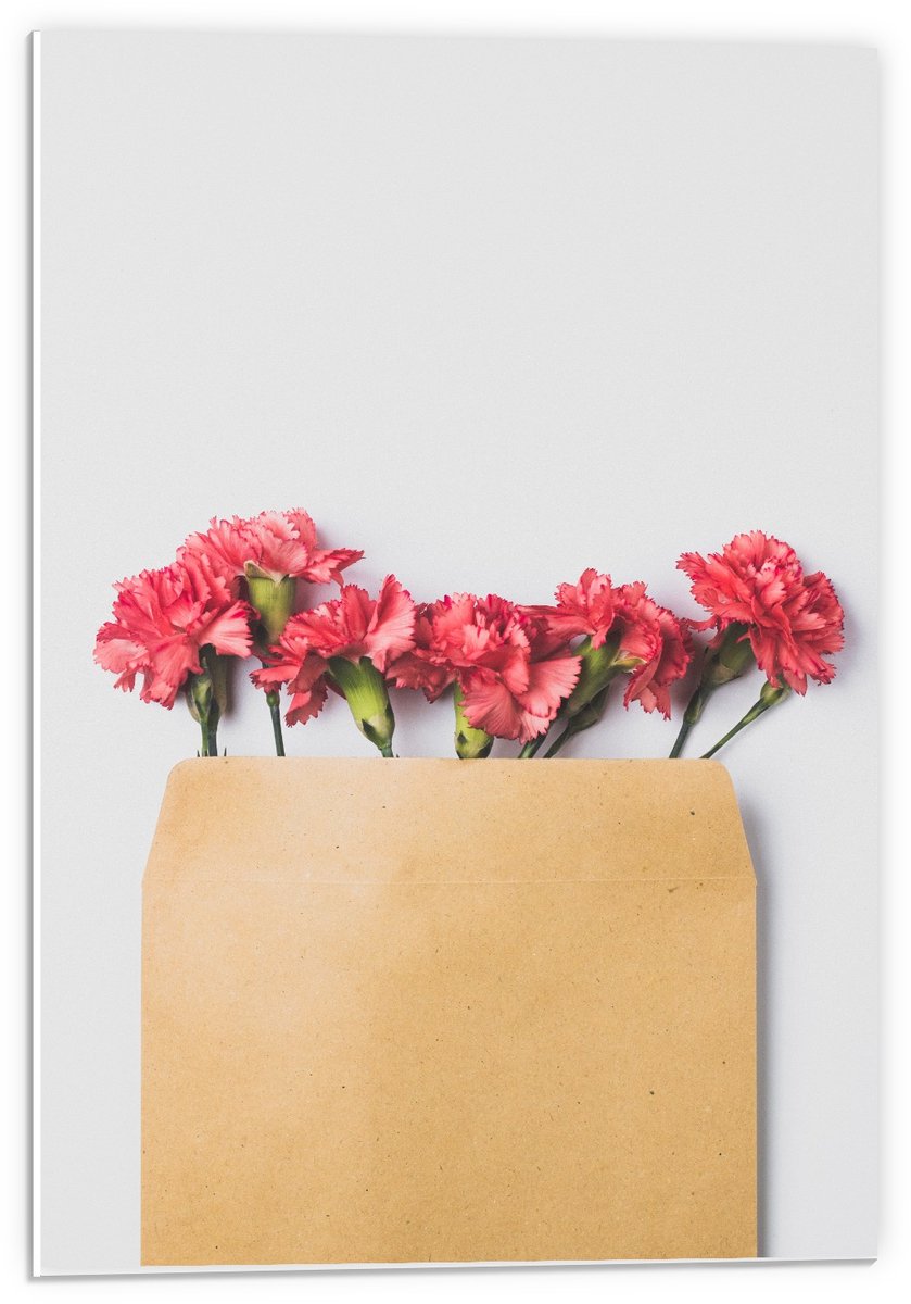 KuijsFotoprint Forex - Enveloppe met Roze Bloemen - 40x60cm Foto op Forex Bruin