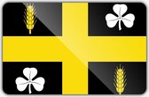 Vlag gemeente Raalte - 200 x 300 cm - Polyester