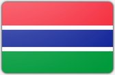 Vlag Gambia - 100 x 150 cm - Polyester