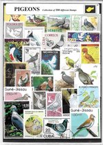 Duiven – Luxe postzegel pakket (C5 formaat) : collectie van 200 verschillende postzegels van duiven – kan als ansichtkaart in een C5  envelop - authentiek cadeau - kado -kaart - dieren - vogels - til - duiventil - Columbidae - pluimvee - postduif