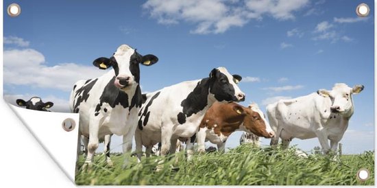 Décoration murale murale d'extérieur Vaches - Herbe - Air - 160x80 cm