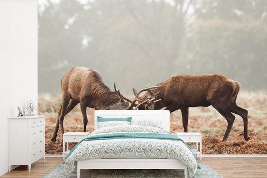 Papier peint - Papier peint photo Cerf - Forêt - Herbe - Largeur 420 cm x hauteur 280 cm