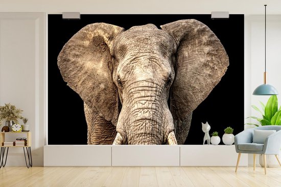 Papier peint - Papiers Papier peint photo Éléphant - Portrait - Zwart - Largeur 390 cm x Hauteur 260 cm