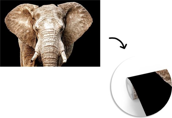 Papier peint - Papiers Papier peint photo Éléphant - Portrait - Zwart - Largeur 390 cm x Hauteur 260 cm