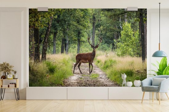 Papier peint - Papier peint photo Forêt - Cerfs - Arbres - Largeur 420 cm x hauteur 280 cm