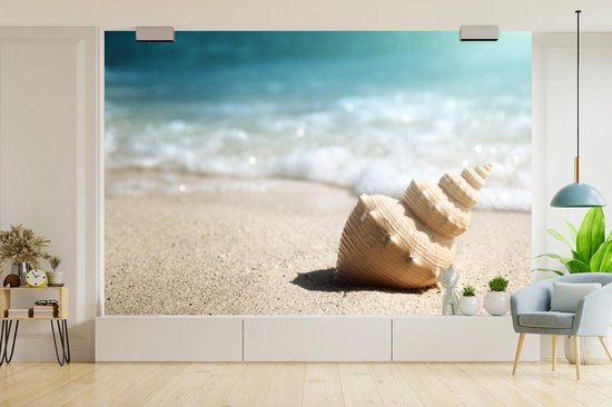 Papier peint - Papier peint photo Coquillage - Plage - Mer - Largeur 420 cm x hauteur 280 cm