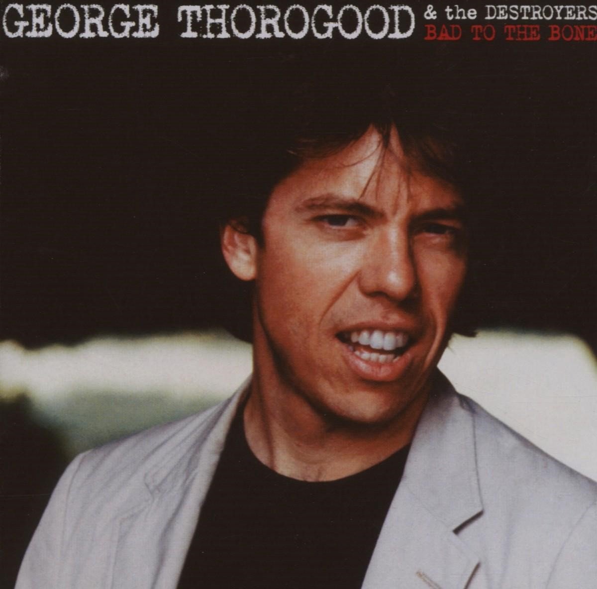 song bad to the bone