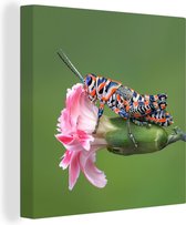 Canvas Schilderij Sprinkhaan - Bloem - Groen - 90x90 cm - Wanddecoratie