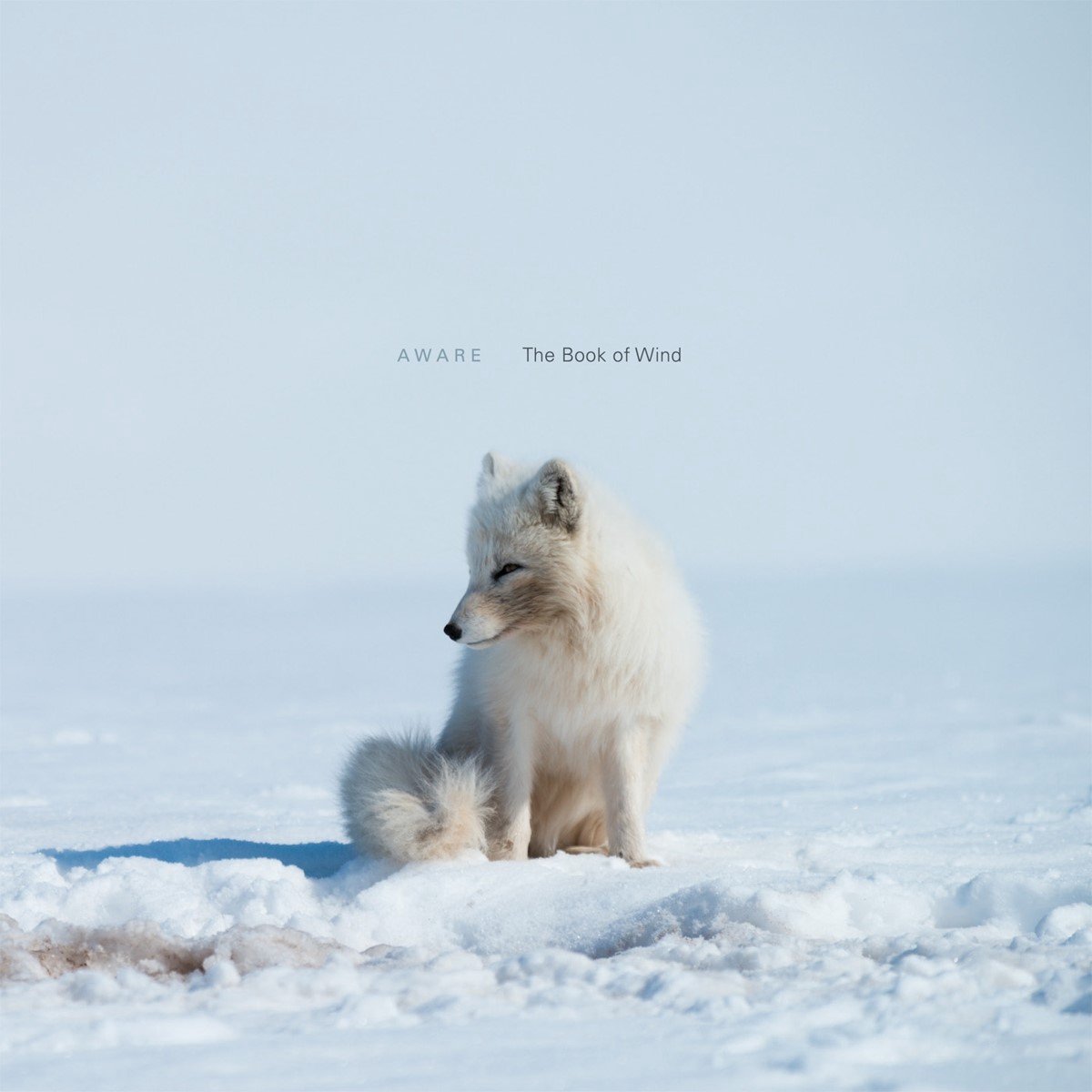 Aware - The Book Of Wind (CD)
