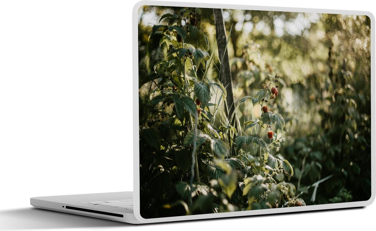 Afbeelding van product SleevesAndCases  Laptop sticker - 13.3 inch - Planten - Fruit - Frambozen