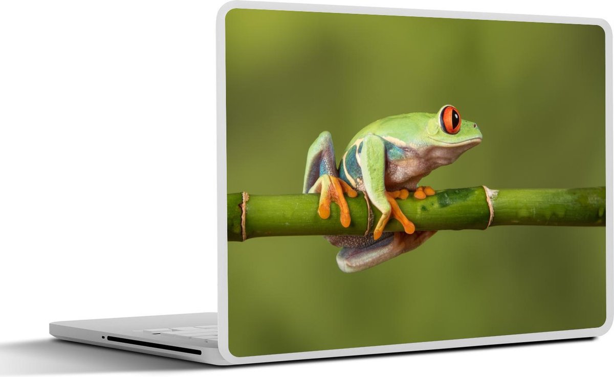 Laptop sticker - 11.6 inch - Roodoogmakikikker op bamboe - 30x21cm - Laptopstickers - Laptop skin - Cover
