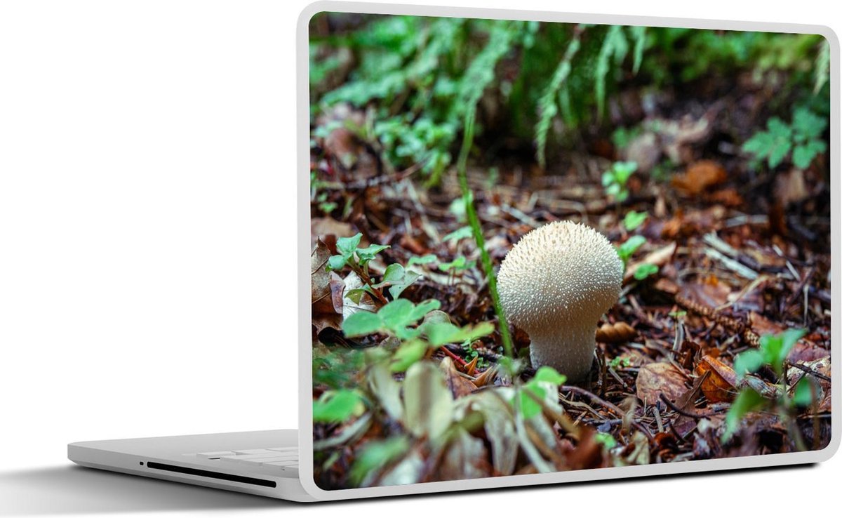 Afbeelding van product SleevesAndCases  Laptop sticker - 11.6 inch - Witte stuifzwam in het bos