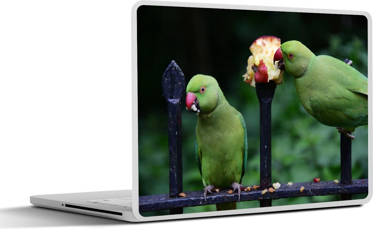 Afbeelding van product SleevesAndCases  Laptop sticker - 10.1 inch - Twee halsbandparkieten eten een appel op een metalen hek